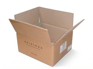 Skin 1004 BC-bølge