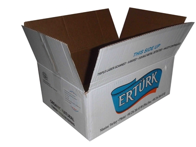 Erturk