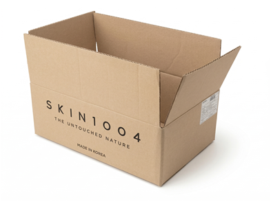 Skin 1004 BC-bølge